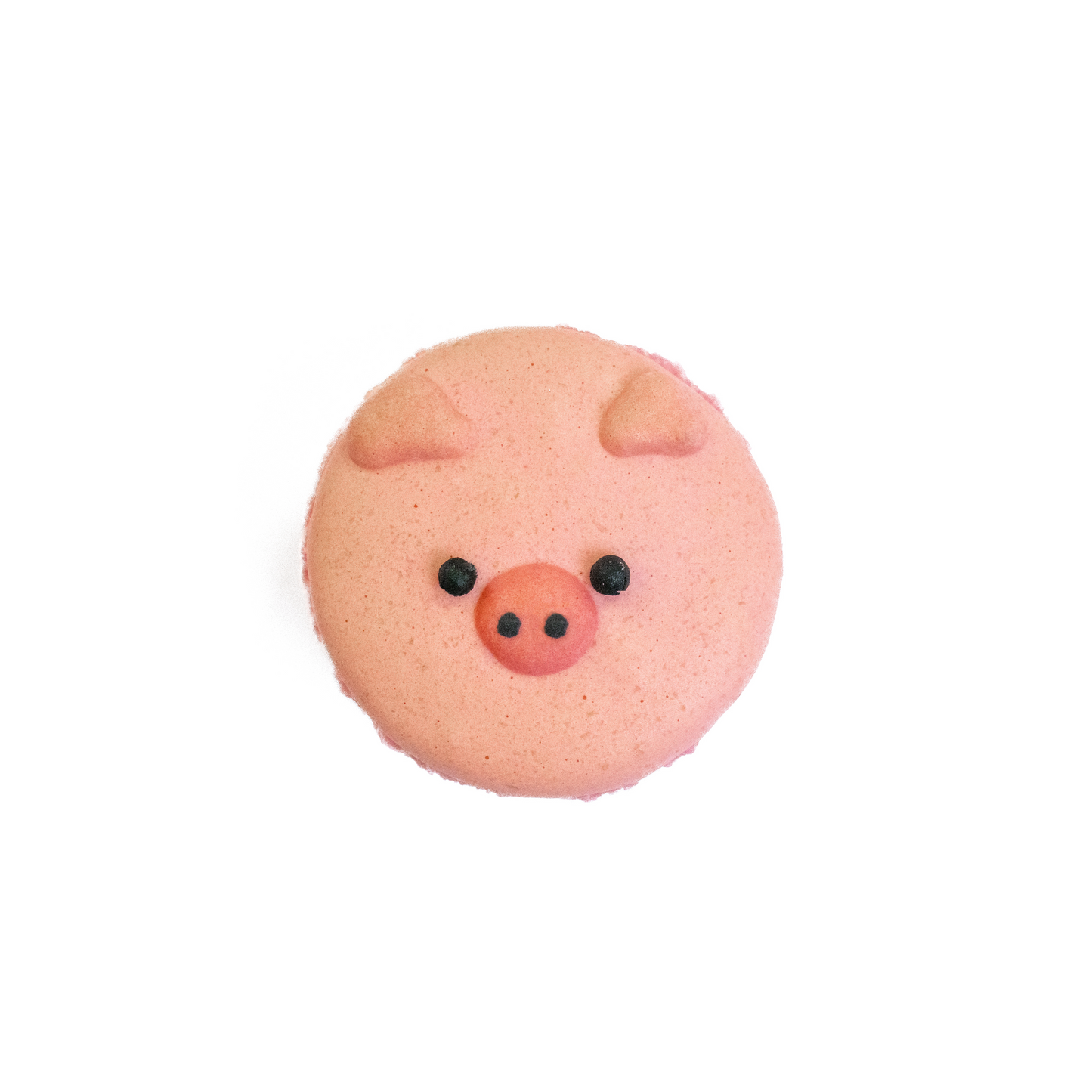 Macarons (1 pc) - Daan Go Cake Lab | Toronto