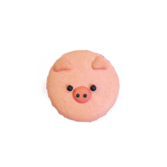 Macarons (1 pc) - Daan Go Cake Lab | Toronto