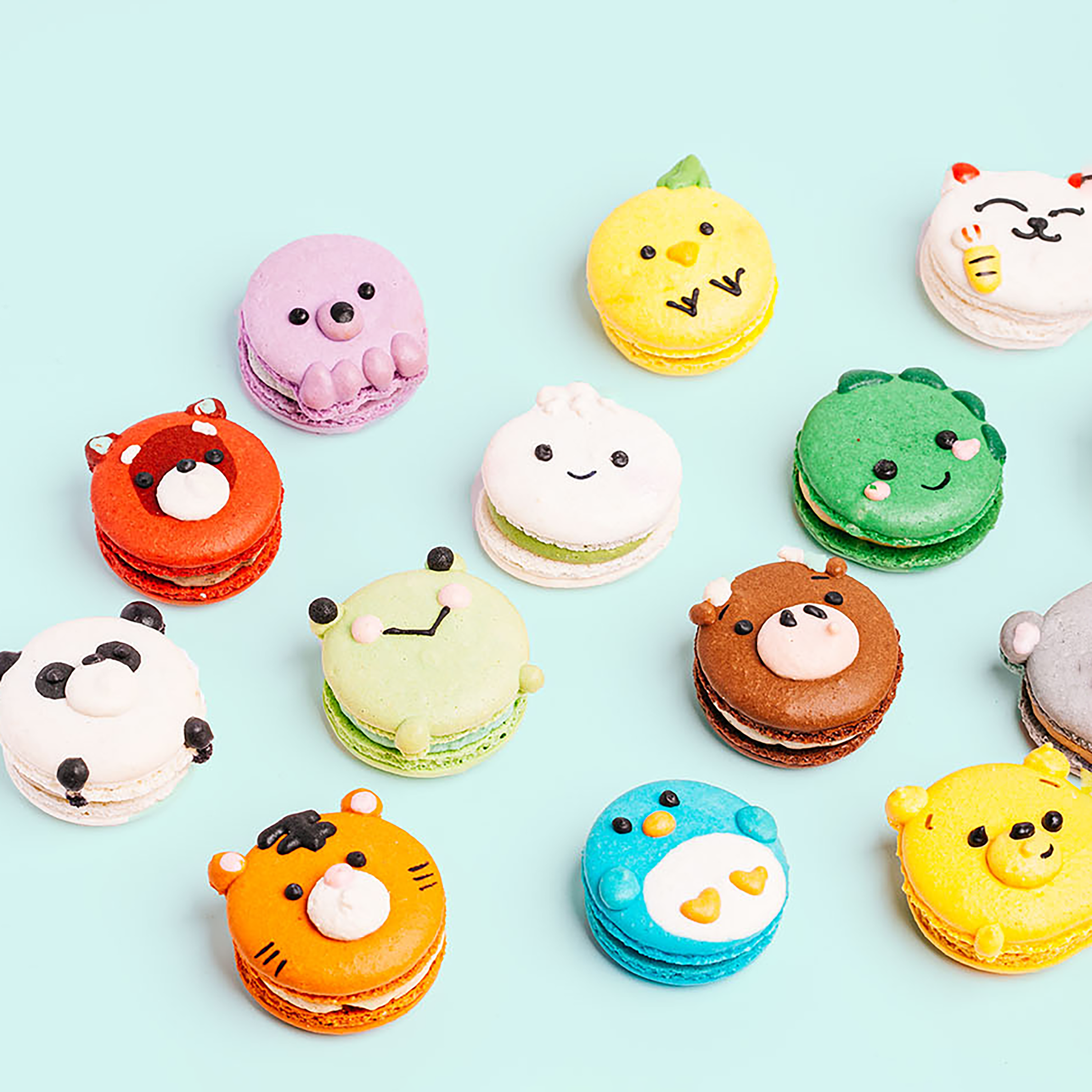 Character Macarons