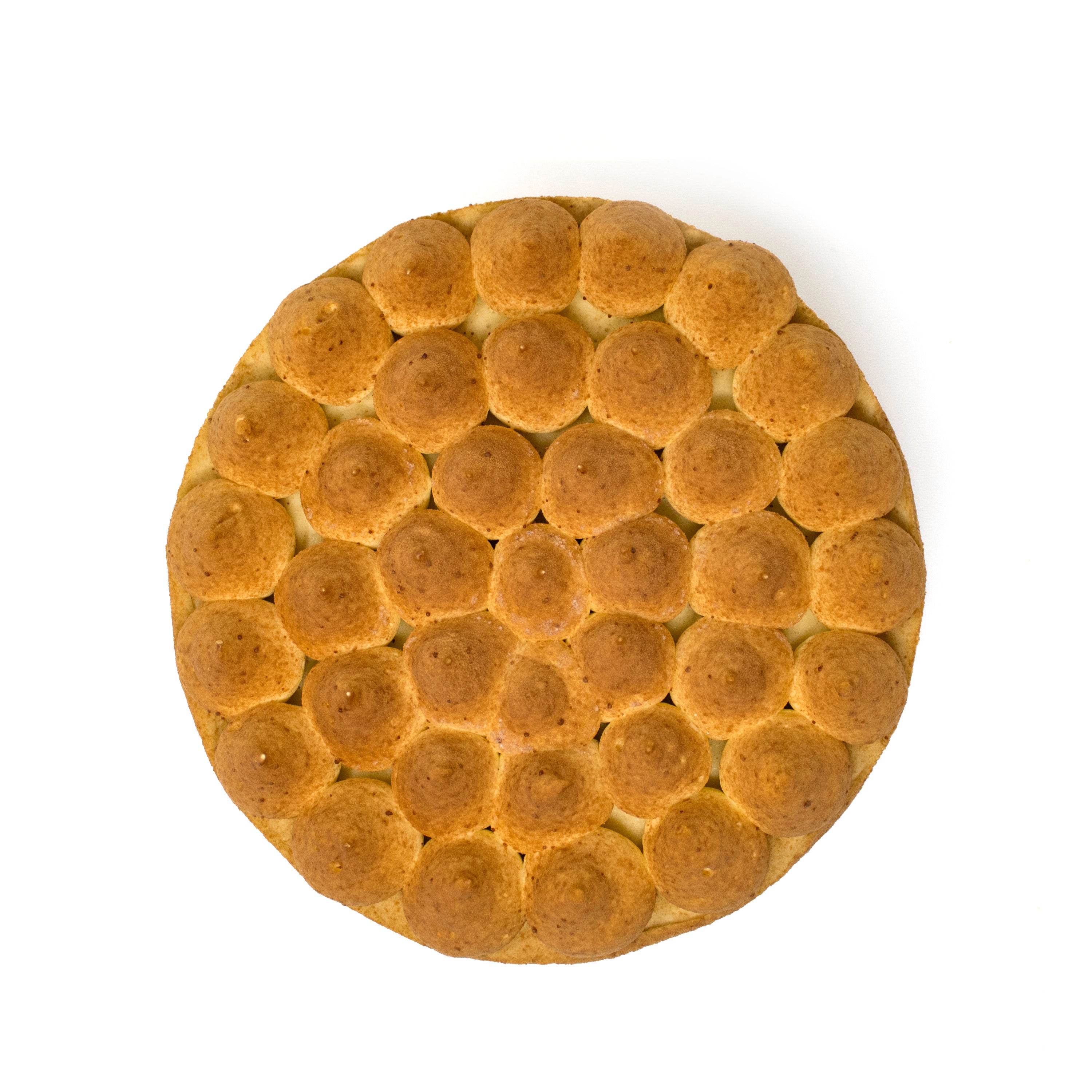 Gold Thorn Cake - Daan Go Cake Lab | Toronto