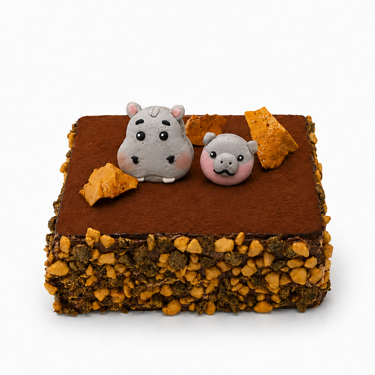 Hippo-Pop-Amus Crunch