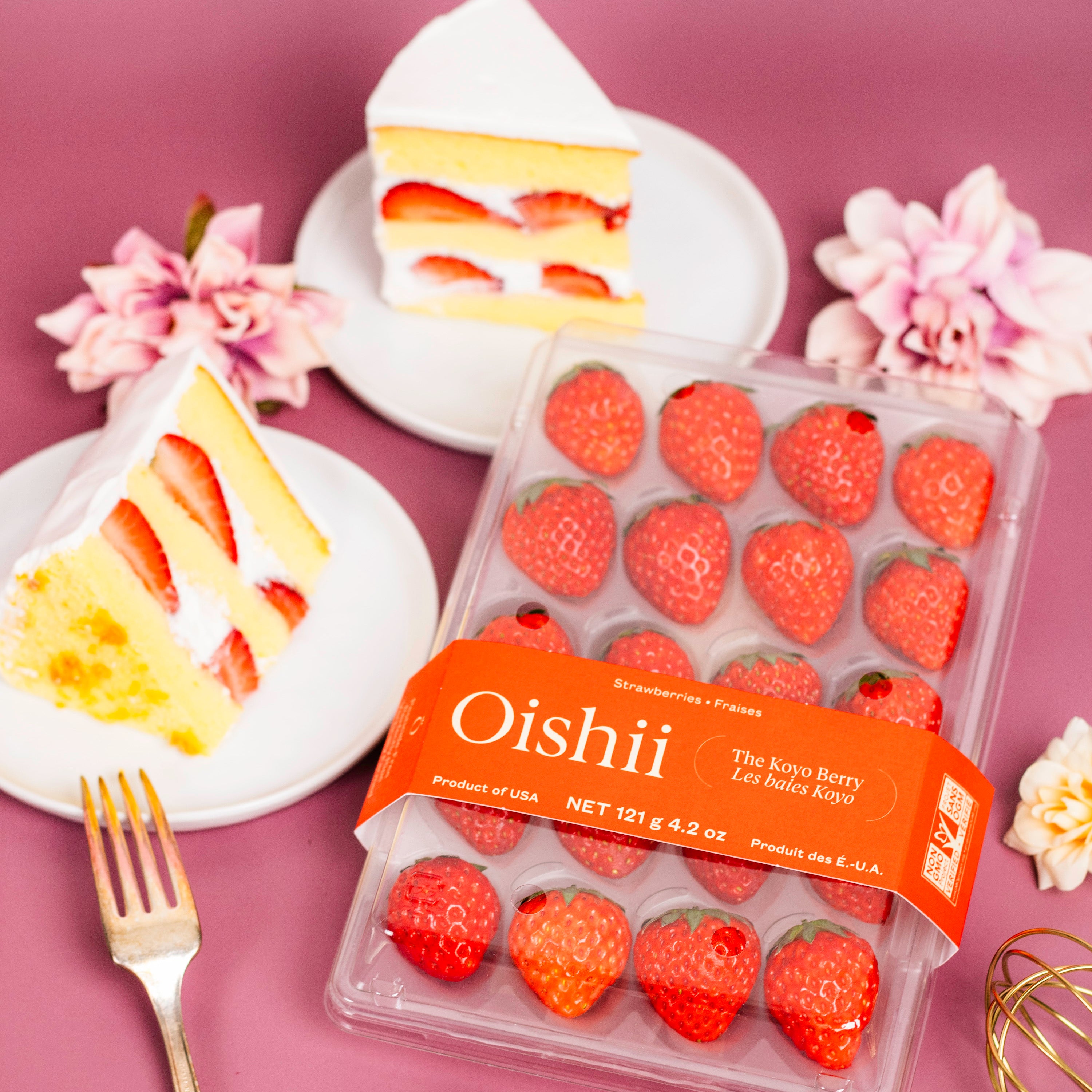 Daan Go x Oishii Shortcake