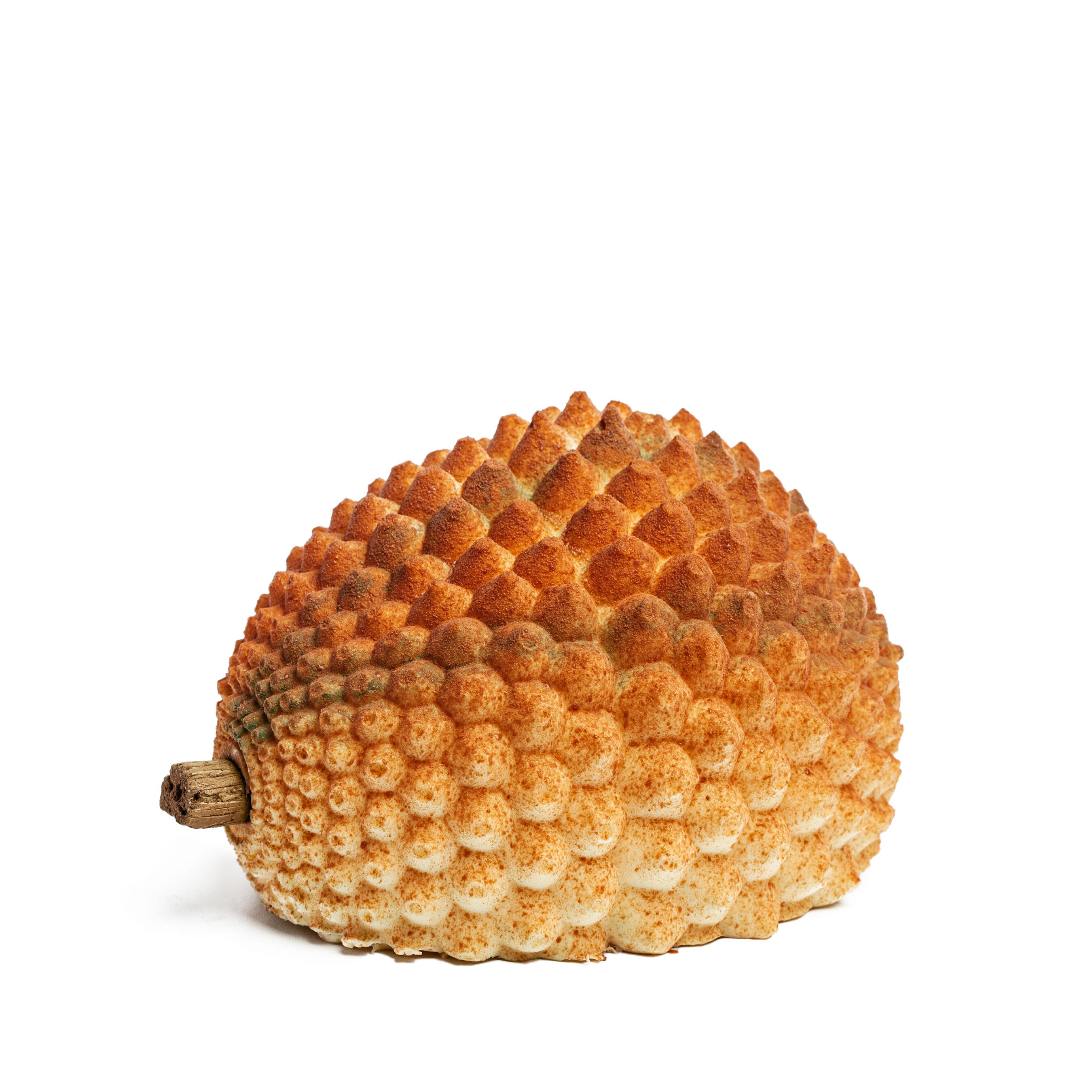 Gold Thorn Cake - Daan Go Cake Lab | Toronto