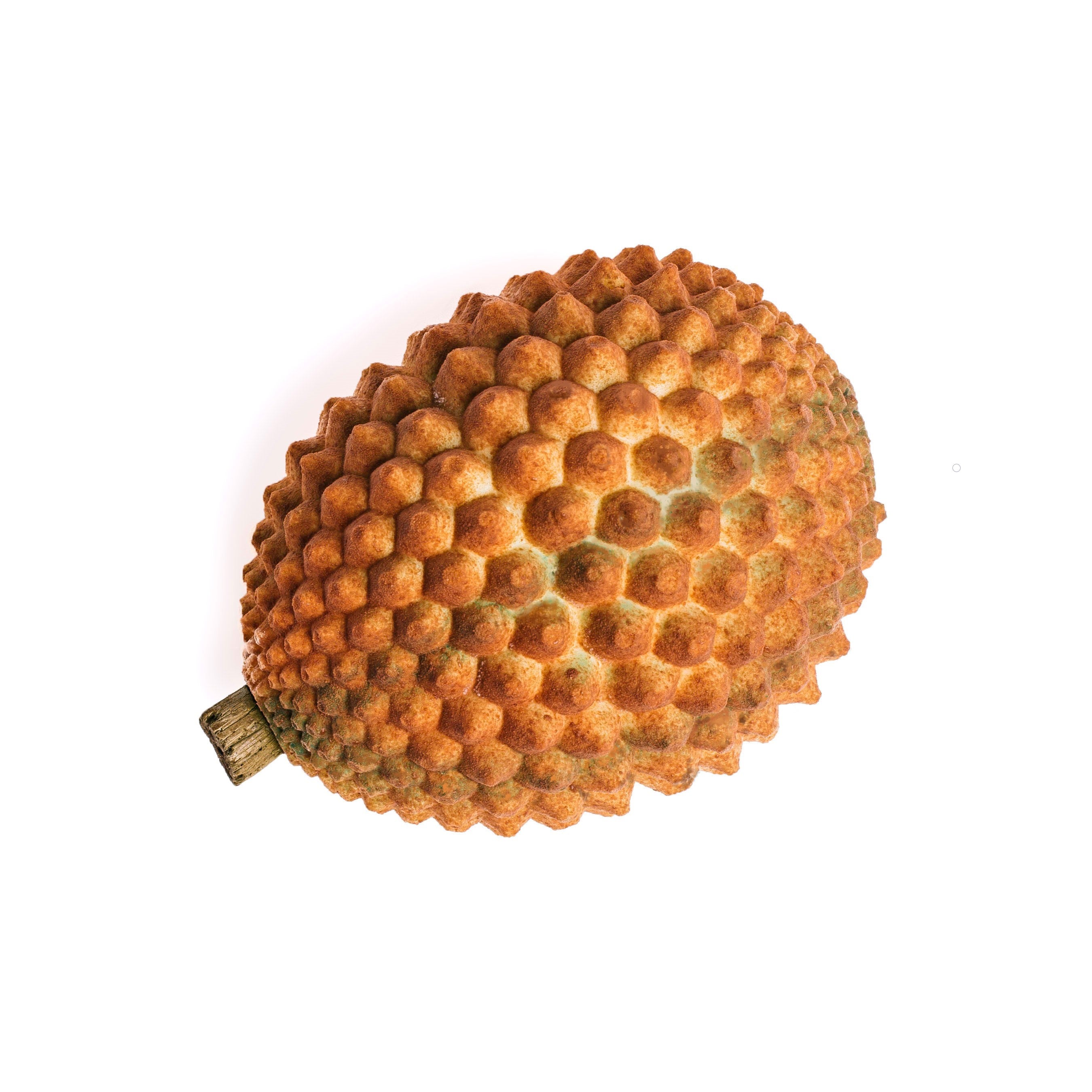 Gold Thorn Cake - Daan Go Cake Lab | Toronto